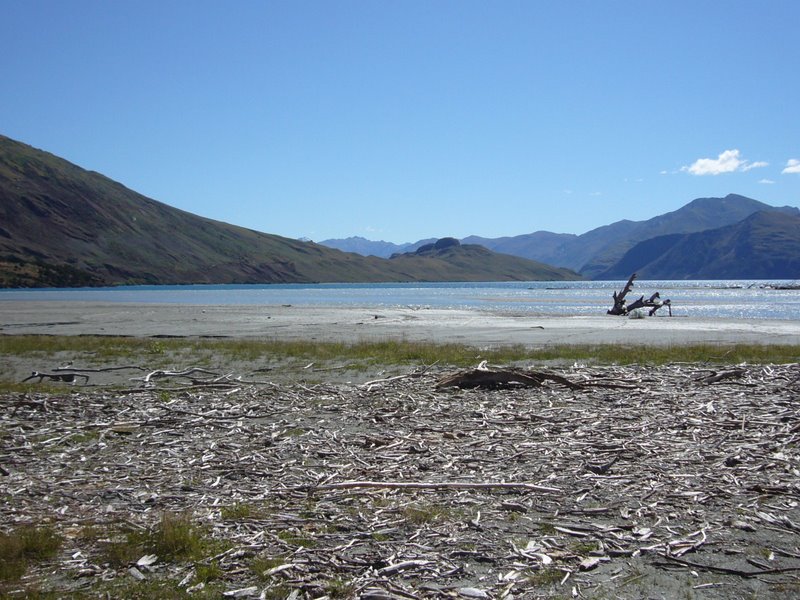 Travel - New Zealand - Glendhu Bay